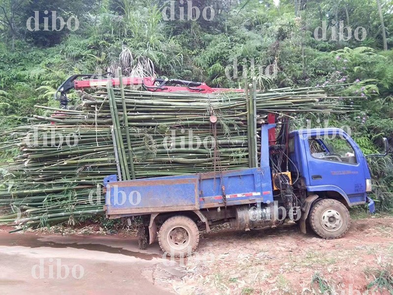 product-800-600 product-800-600